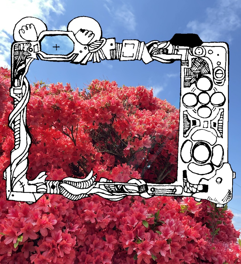 ごちゃっと外を見よう-カメラ-