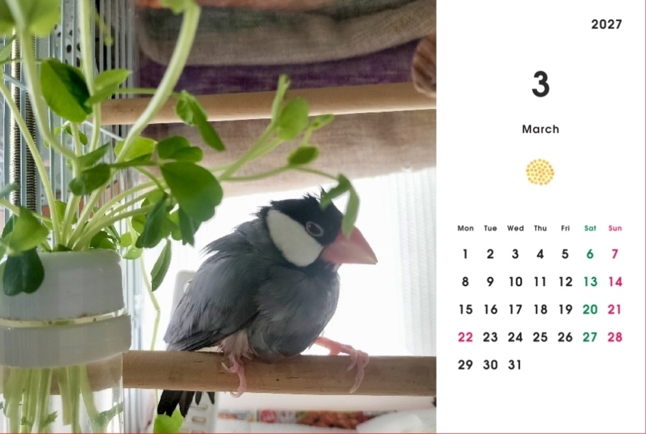 文太置型カレンダー2026年版(4月始まり)