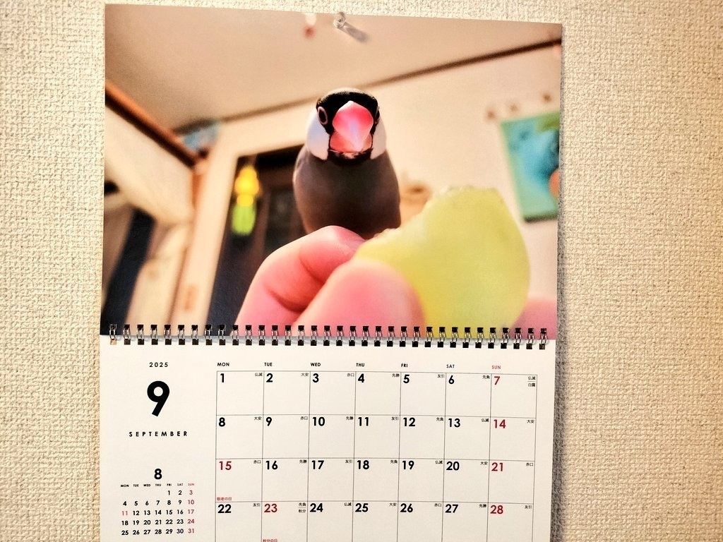 文太壁掛けカレンダー2025年版(4月始まり)