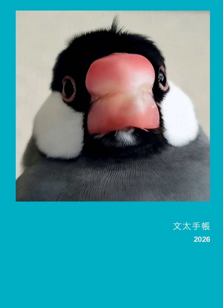 文太のスケジュール帳『文太手帳』カバー付き