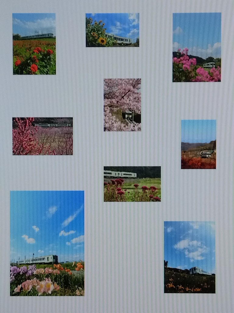 写真集「八高線花散歩 ~線路際のめぐりあい~」