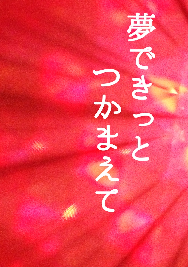 夢できっとつかまえて