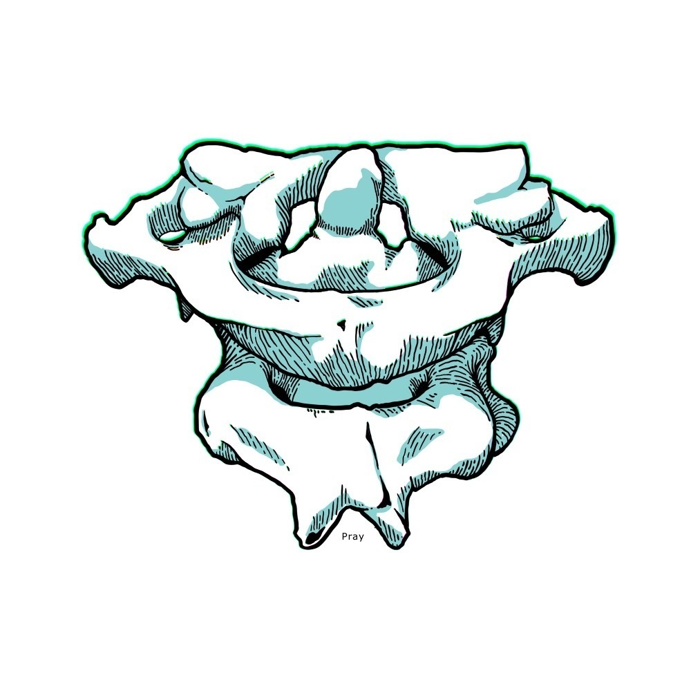 throat buddha 02