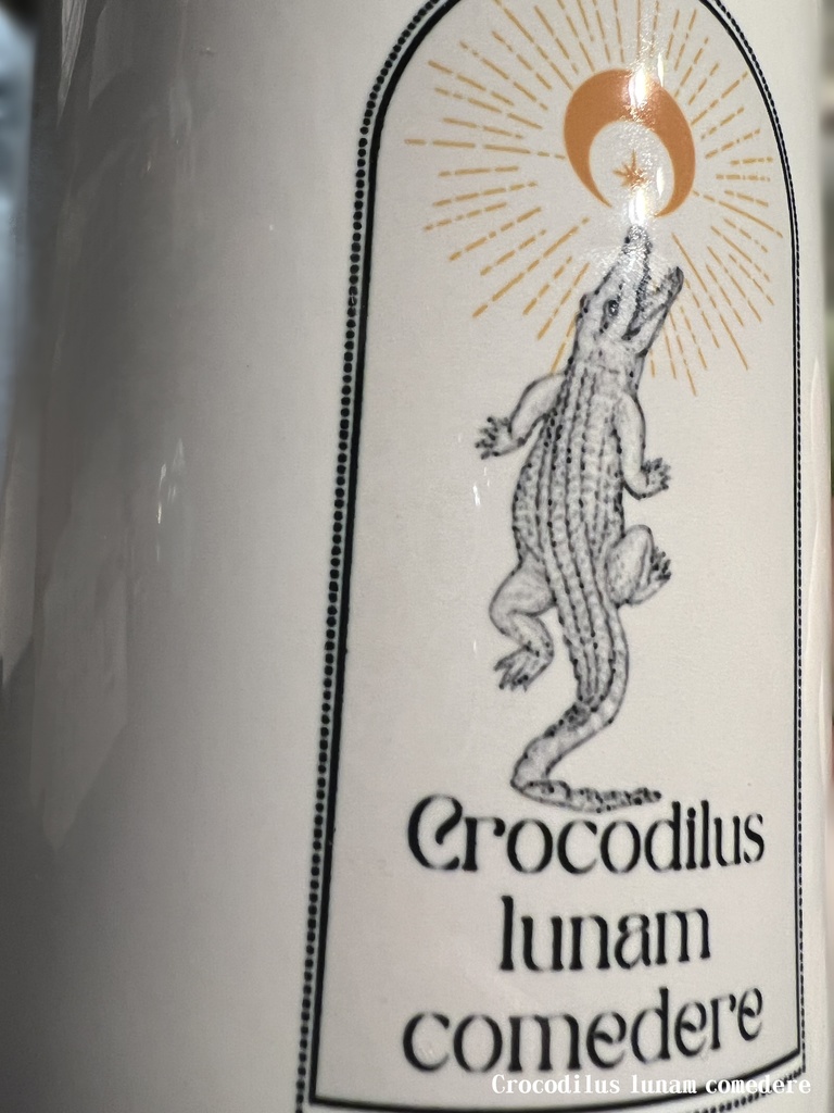 【B品】Crocodilus lunam comedere 看板ロゴ入りカラーマグカップ キミドリ