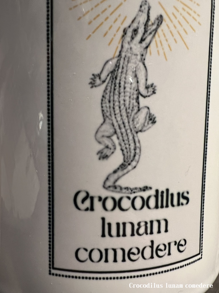 【B品】Crocodilus lunam comedere 看板ロゴ入りカラーマグカップ キミドリ
