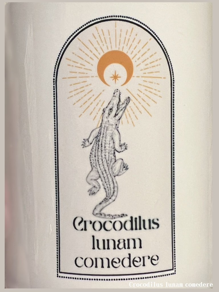 【B品】Crocodilus lunam comedere 看板ロゴ入りカラーマグカップ キミドリ