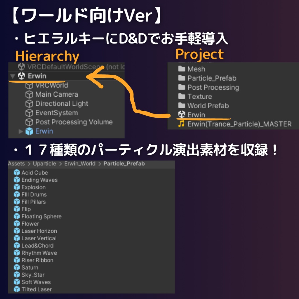 パーティクルライブ「Erwin」