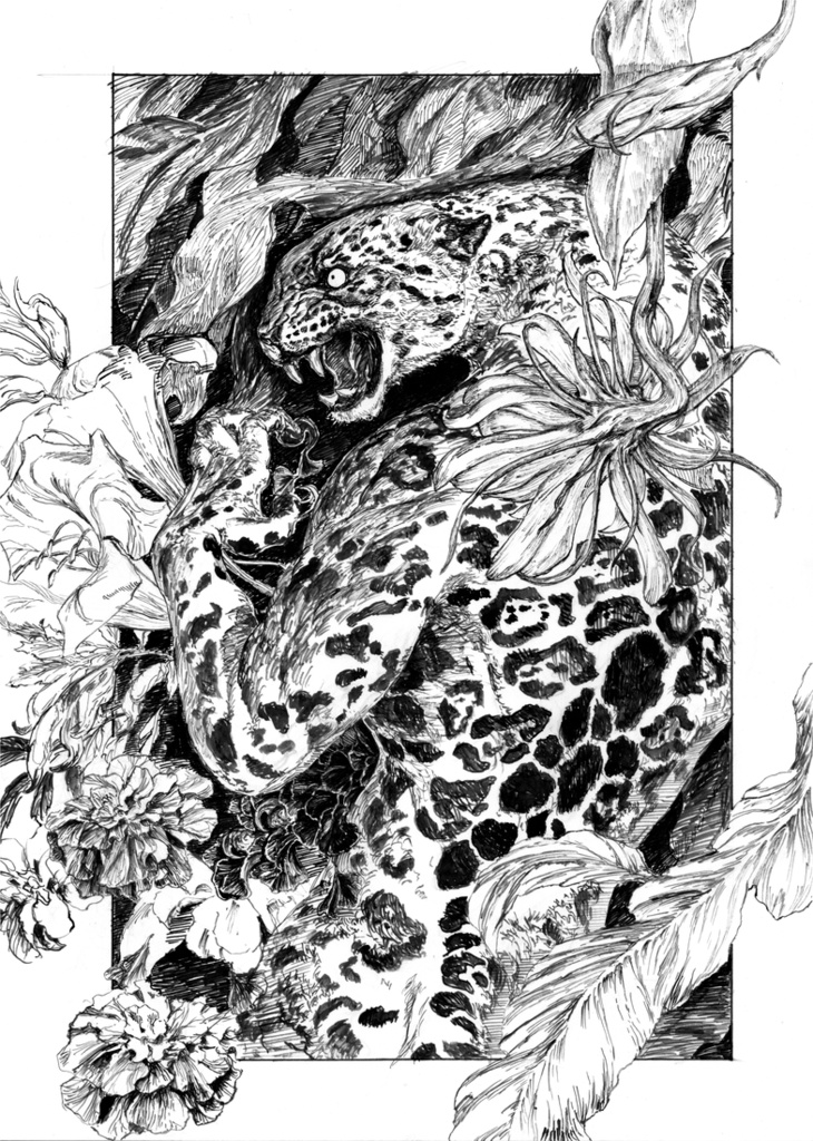 メキシコ創作アンソロジー『EL DORADO』