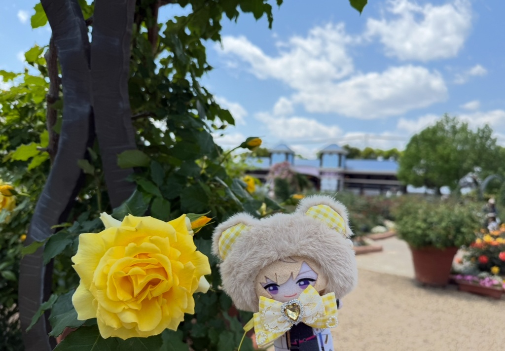 ふかふかモカくまʕ•ﻌ•ʔฅかぶりもの