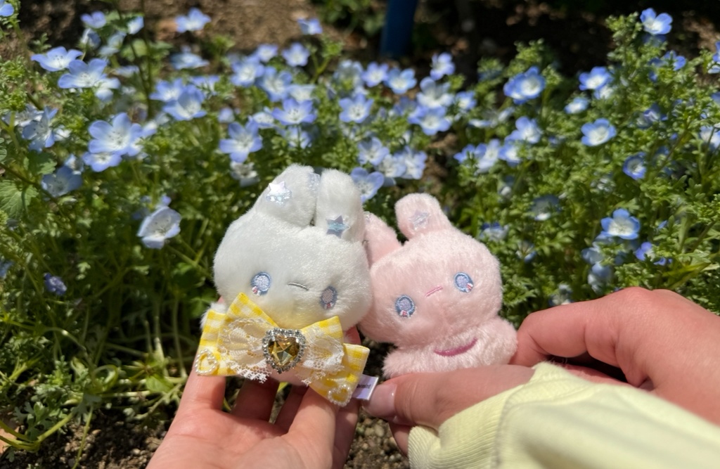 ぎんがむリボン