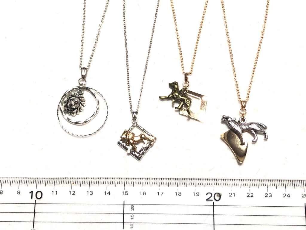 サバナクロー ネックレス②