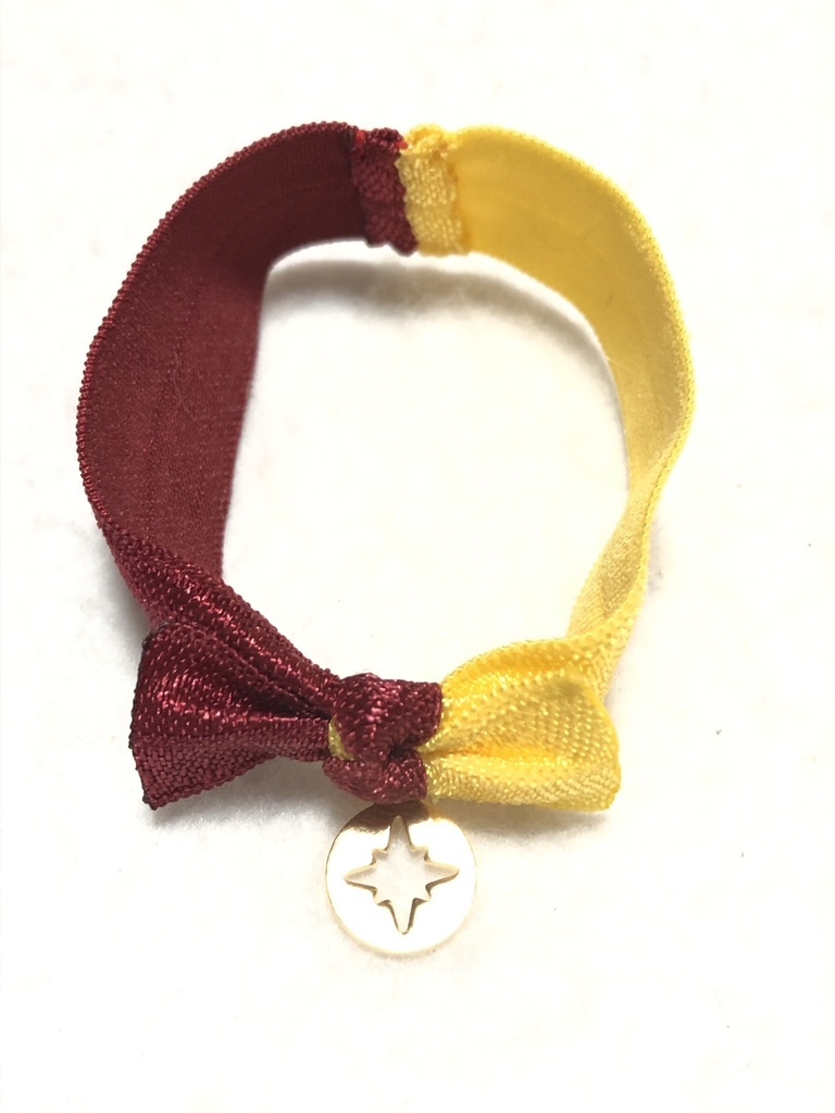 ツイステ ヘアタイ/スカラビア