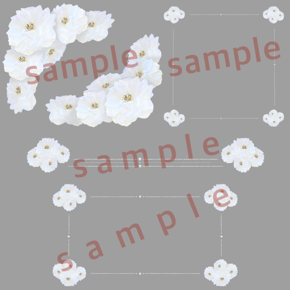 白い花 素材セット