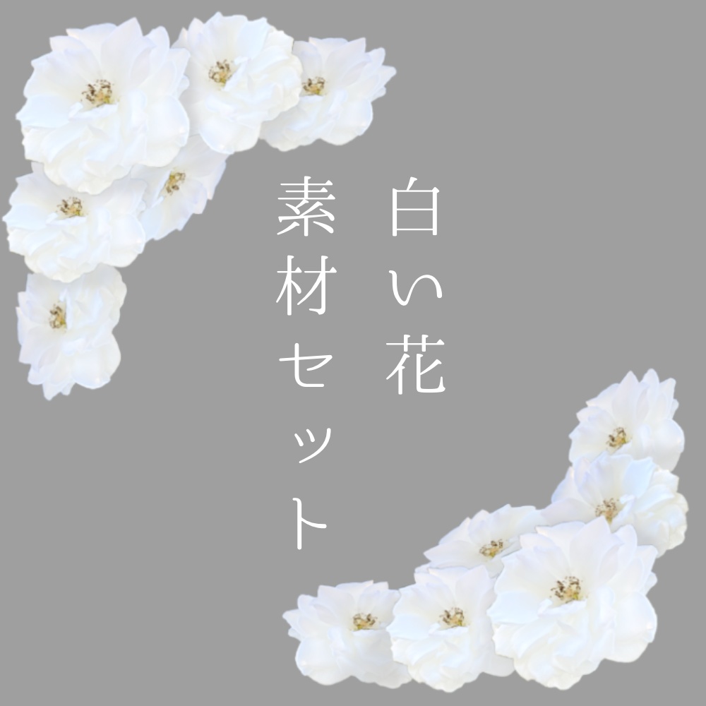 白い花 素材セット