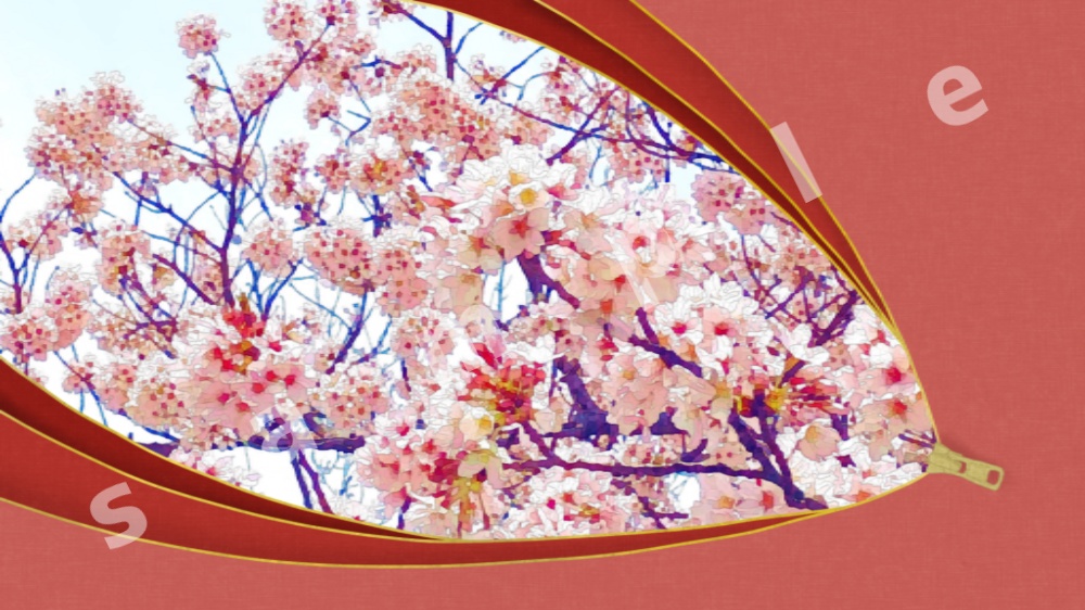 ファスナー 素材