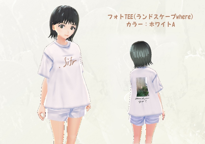 .sifr バックフォトTEE(ランドスケープwhere)全5種