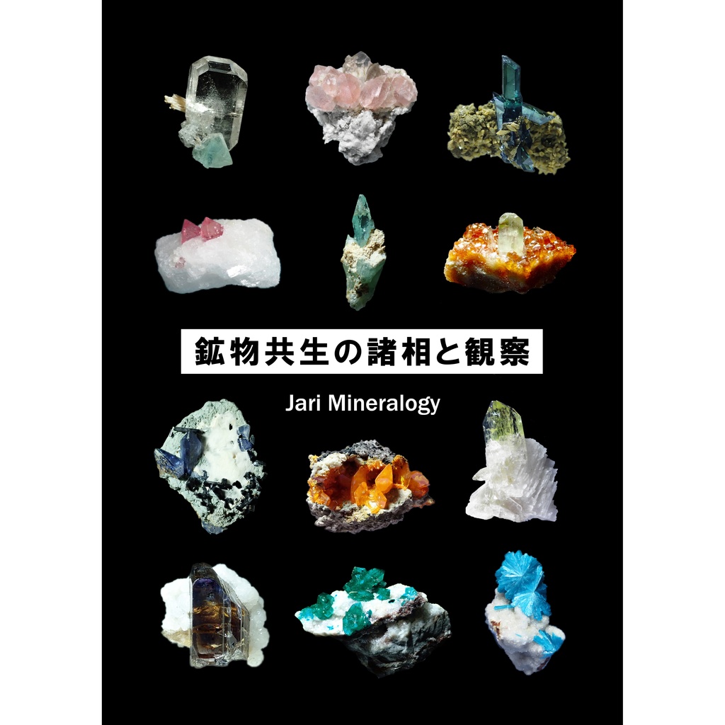 鉱物共生の諸相と観察 鉱物標本フォトブック 匿名配送 Jari Mineralogy Booth