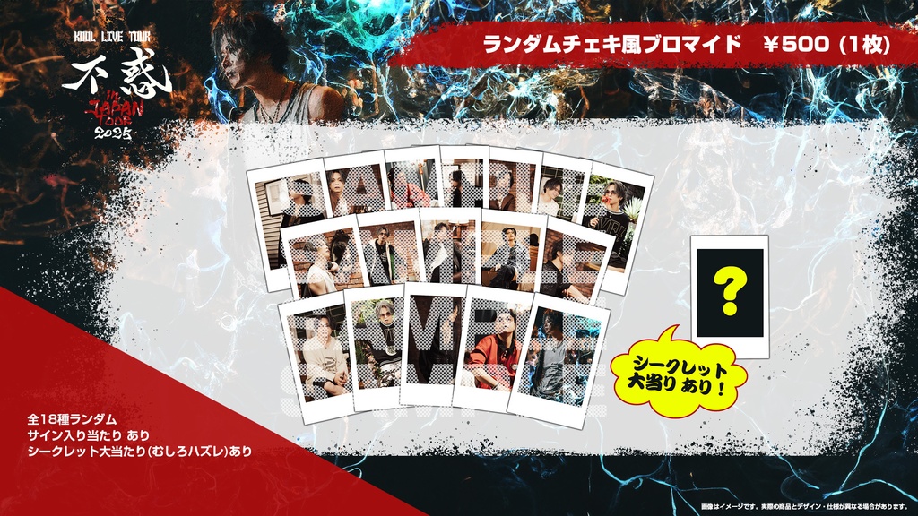 ランダムチェキ風ブロマイド