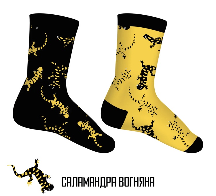 GRIFFON SOCKSBOX ウクライナの動物BOX ウクライナ支援