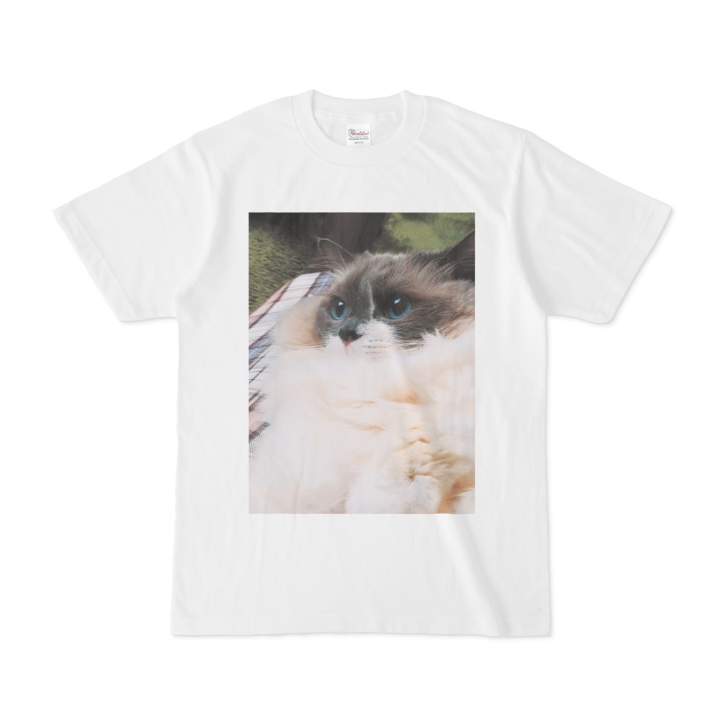 ラグドール　Tシャツ