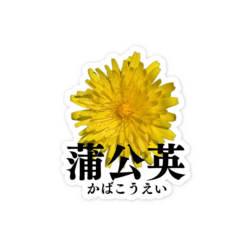 蒲公英ステッカー