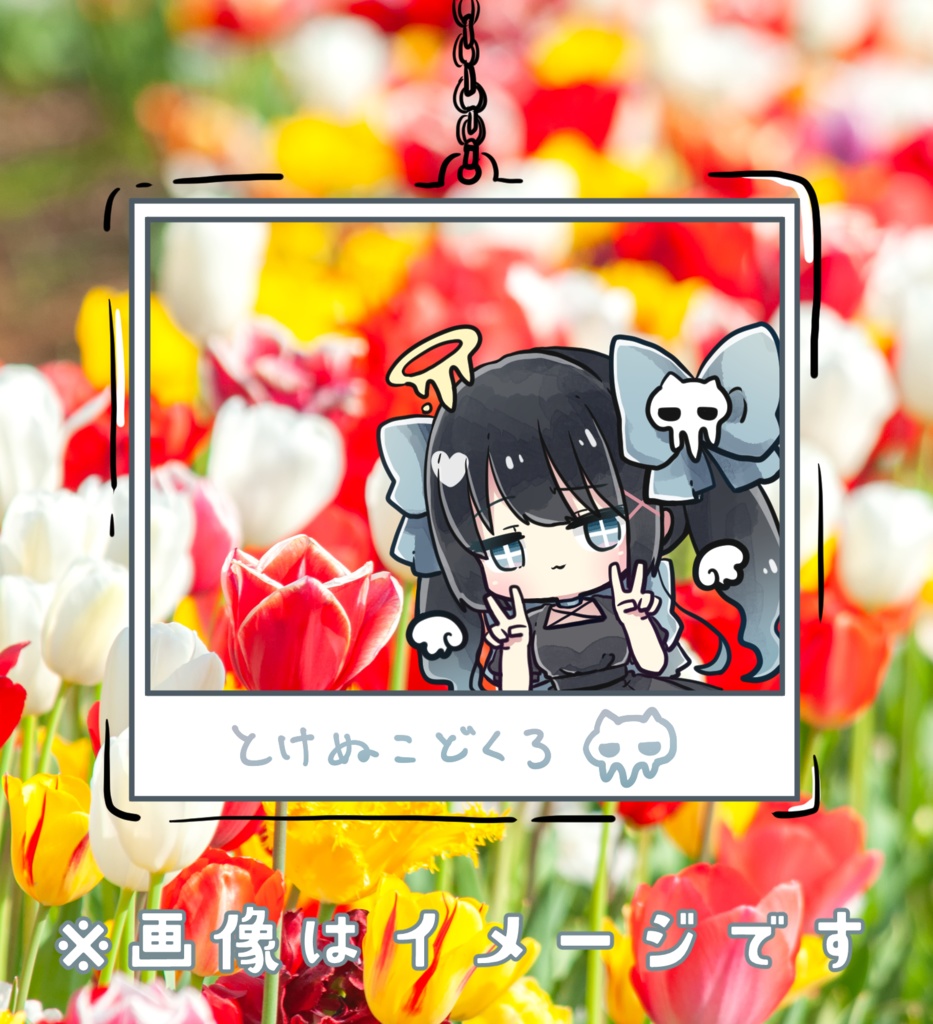 とけぬこチェキアクキー