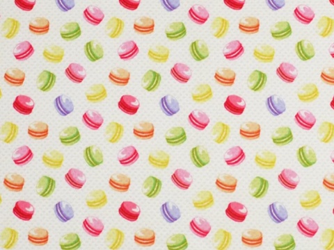 【MDD L胸対応】マカロンパーカー