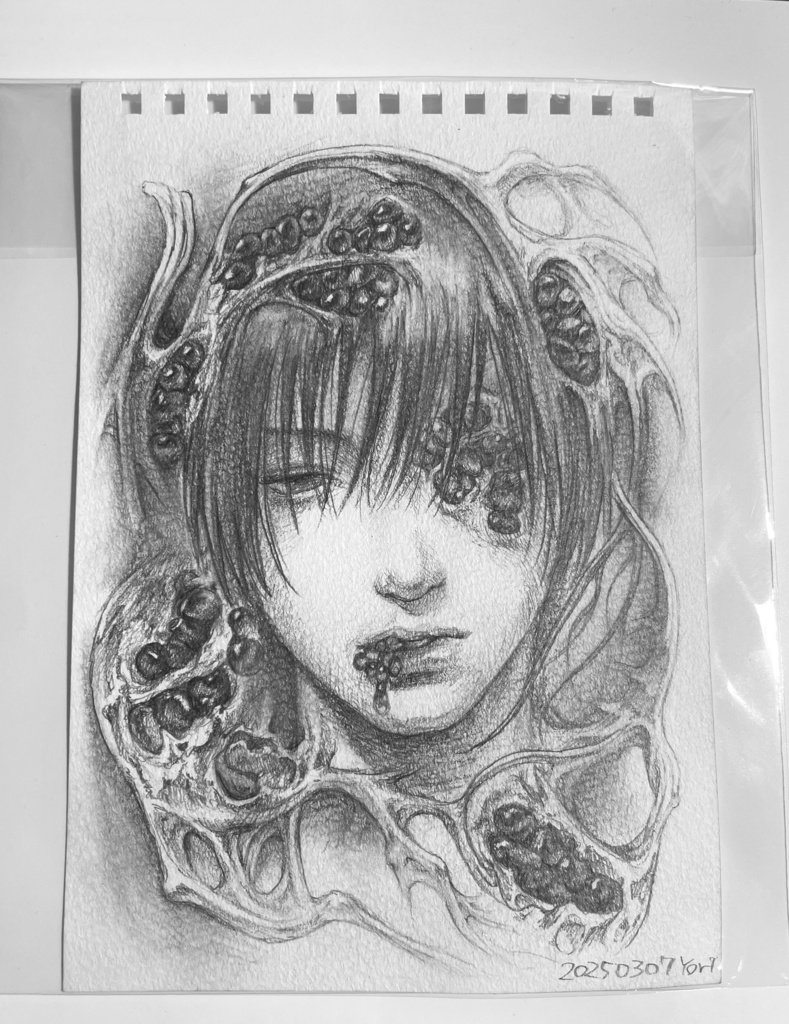 ドローイング 「Pomegranate」