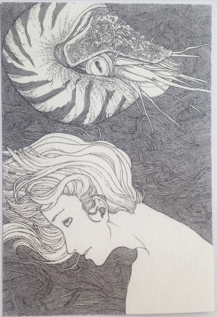 nontitle No.15