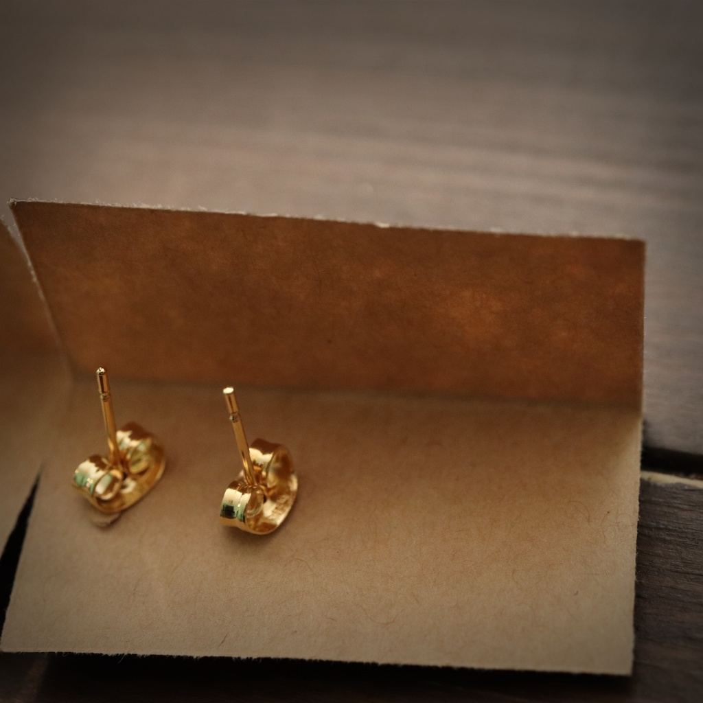 「AIBO」絆❀ピアス&イヤリング❀