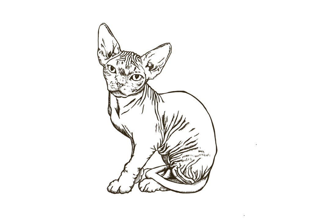 LABRO デボンレックス