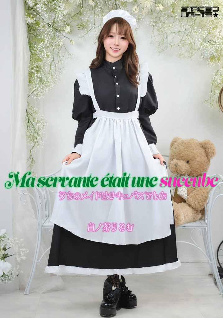 うちのメイドはサキュバスでした