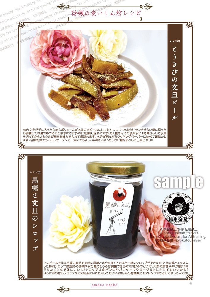 DL 極東金星第2号 電子版