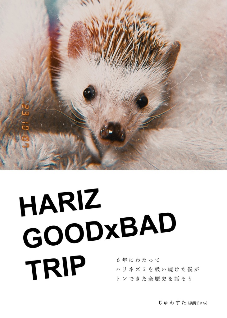 HARIZ GOODxBAD TRIP