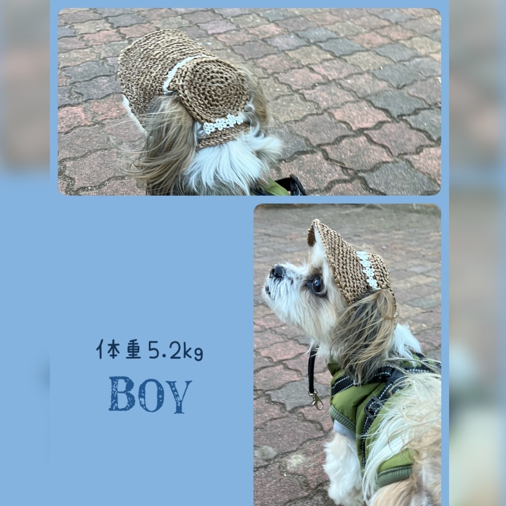 犬用麦わら帽子 小型犬用 Sサイズ