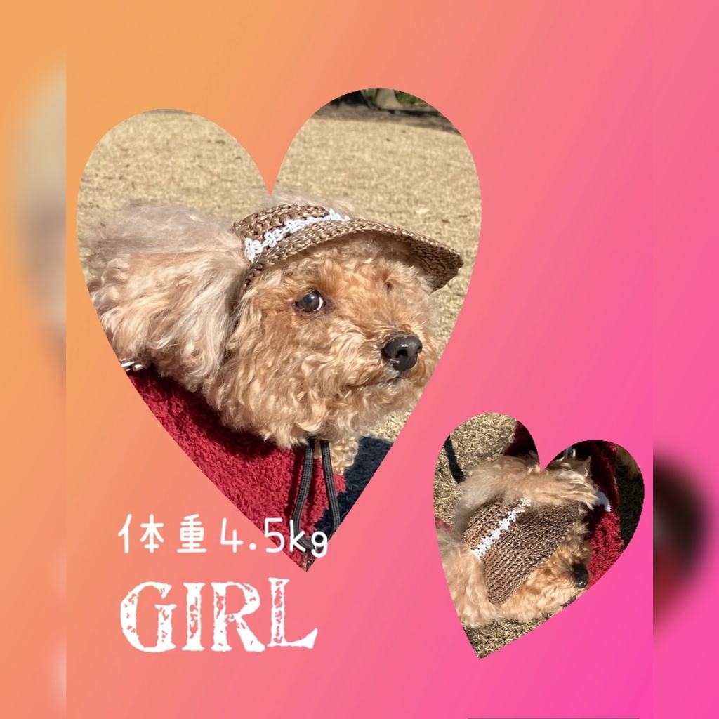 犬用麦わら帽子 小型犬用 Sサイズ