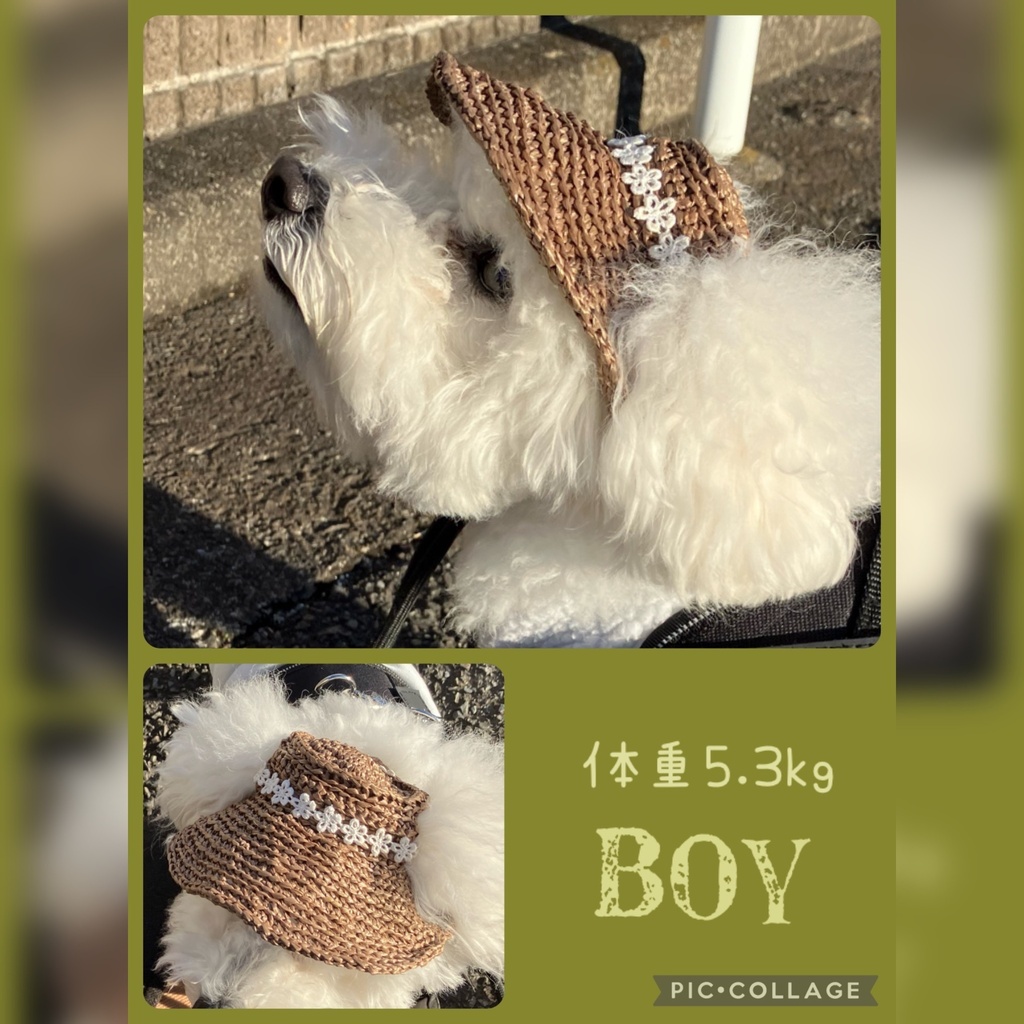 犬用麦わら帽子 小型犬用 Sサイズ