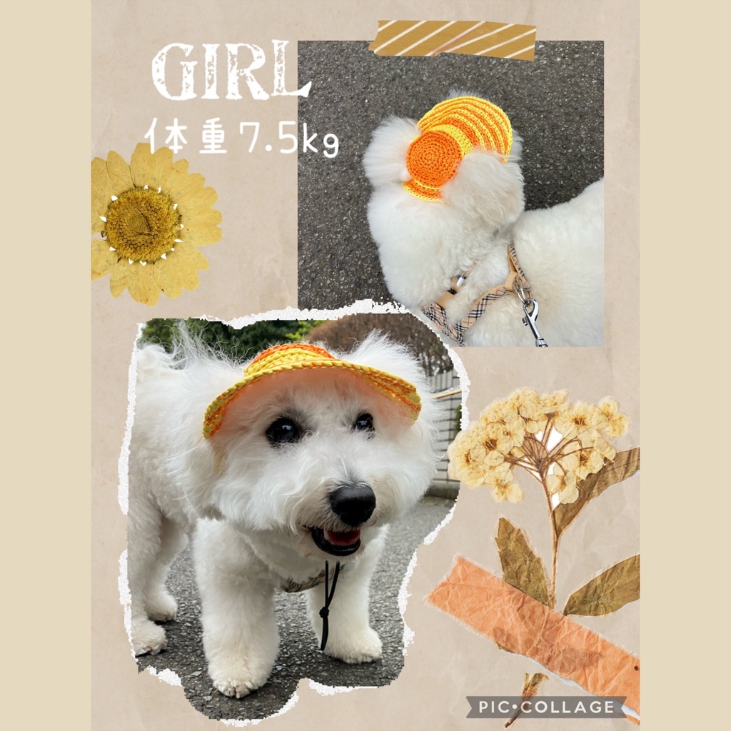 犬用麦わら帽子 小型犬用 Sサイズ