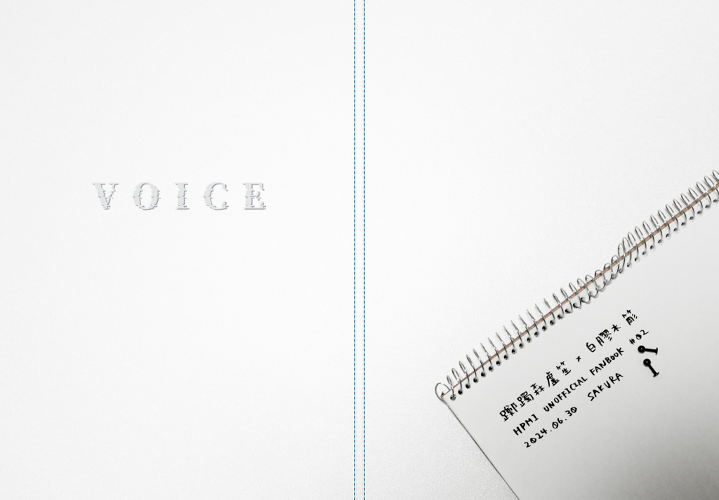 VOICE