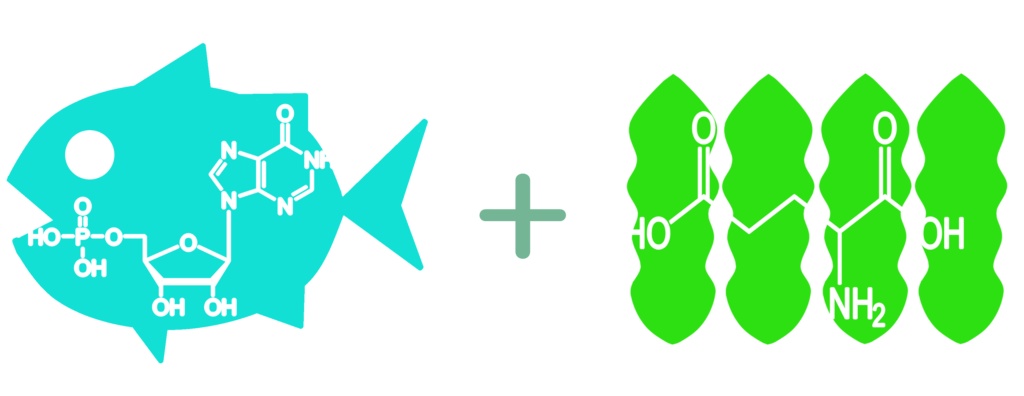 うまみの方程式トートバッグ(S)