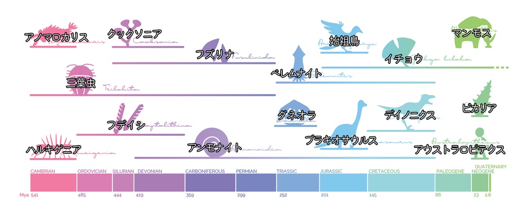 示準化石年表マグカップ