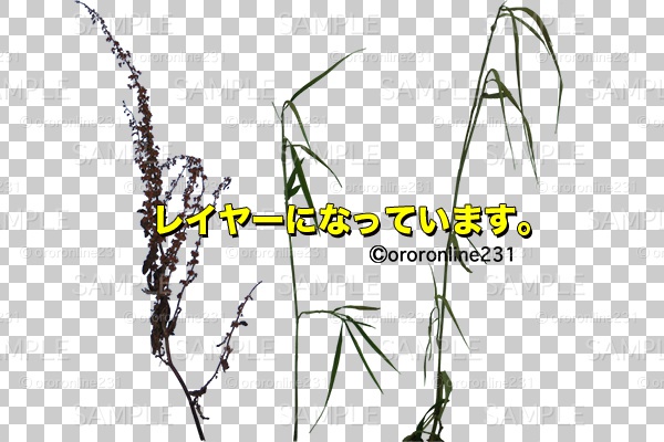 草の素材_No,01
