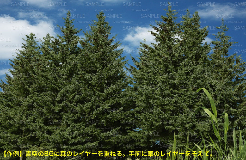 針葉樹の素材_No,01