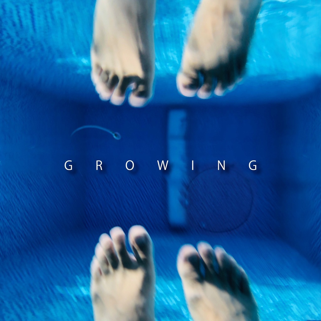 電脳音楽塾オンラインサロン コンピレーションCDアルバム【GROWING】