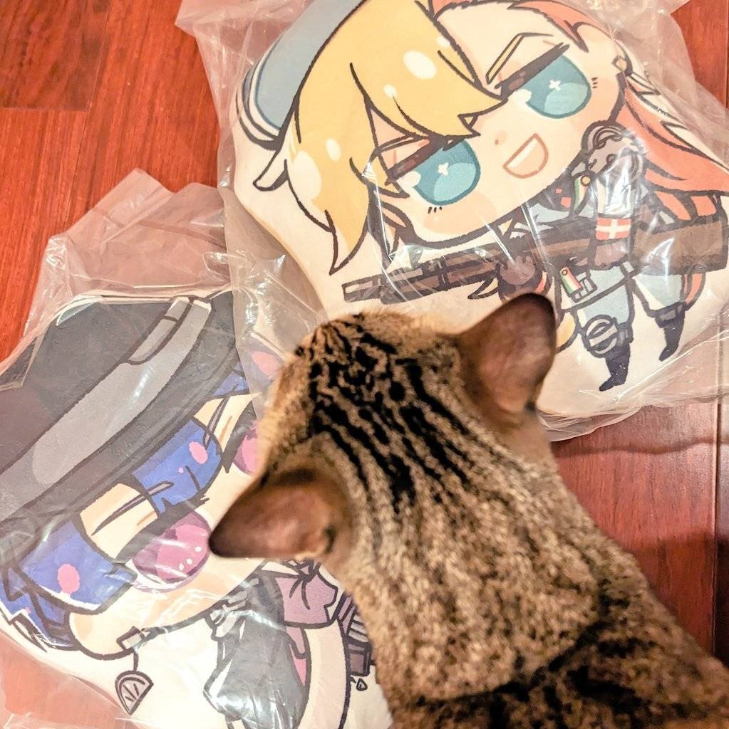 少し大きめの抱き枕セット