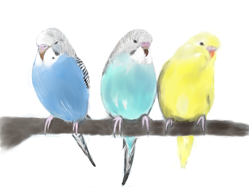 カラフルインコ マスキングテープ