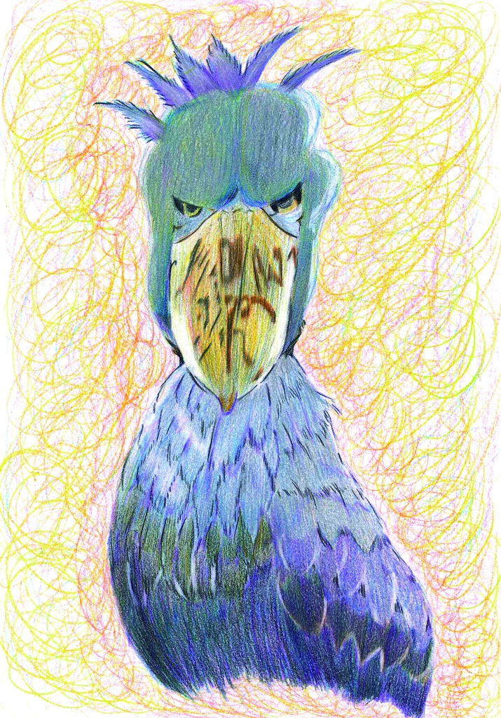 ハシビロコウTシャツ