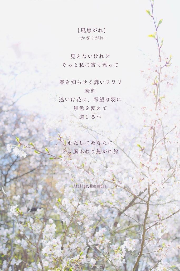 風焦がれ