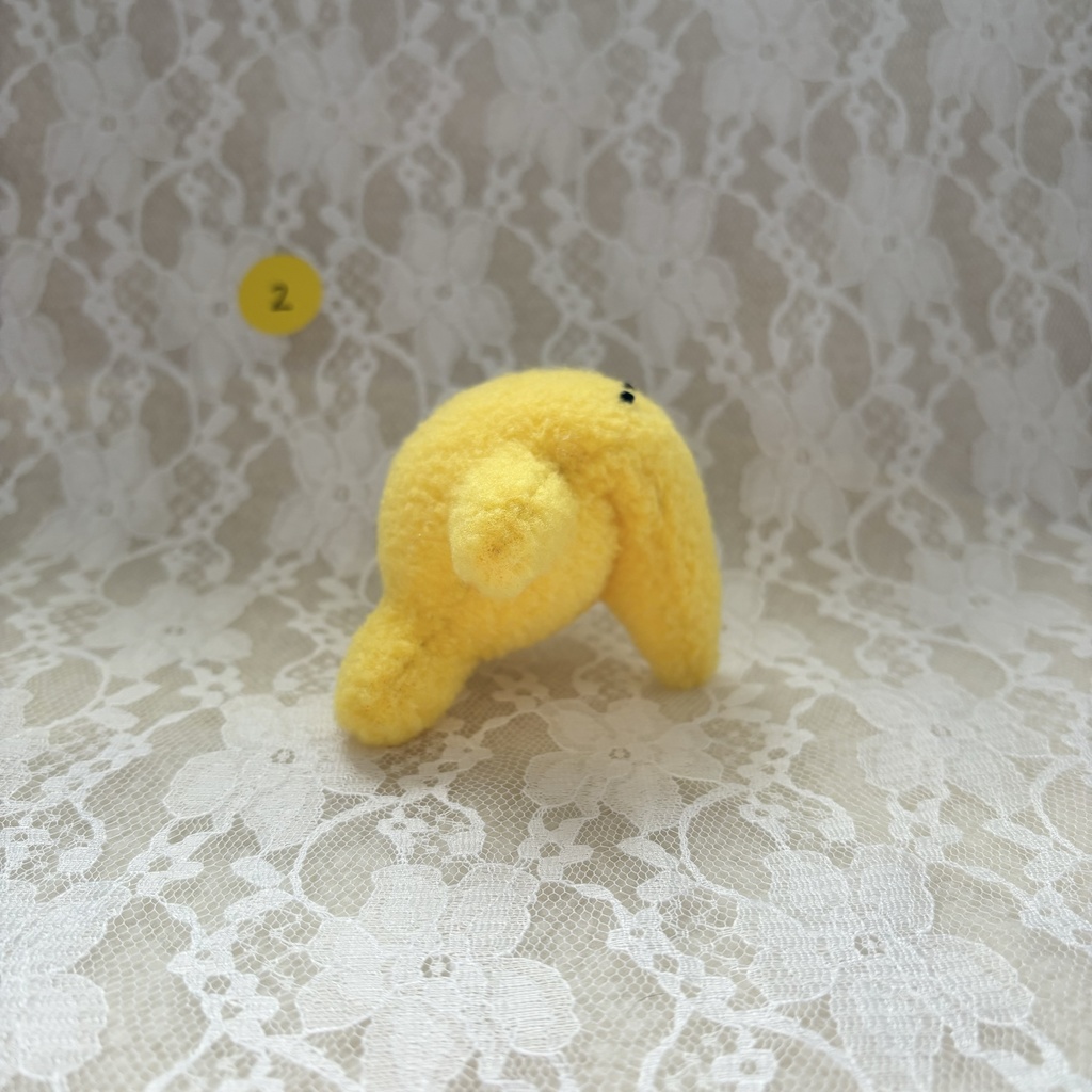 ホシゾウ ☆彡 ②