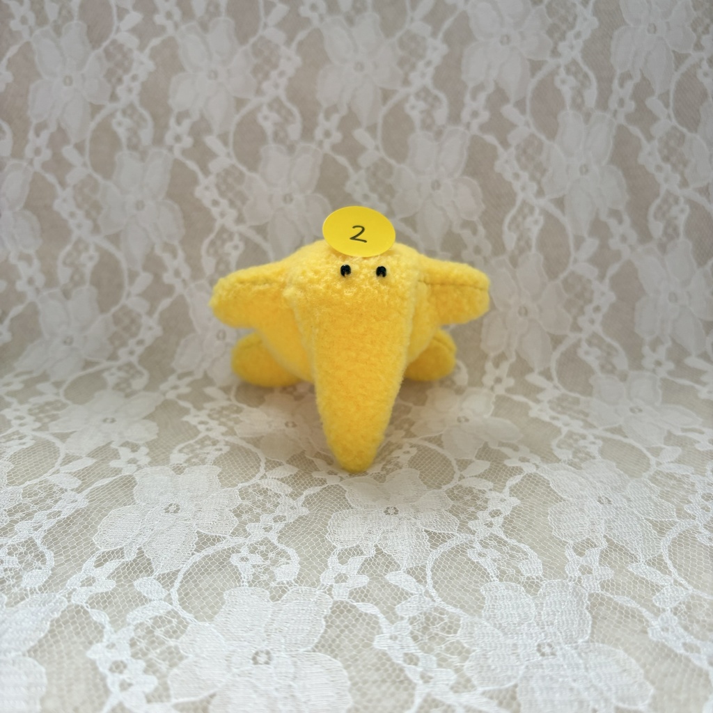 ホシゾウ ☆彡 ②